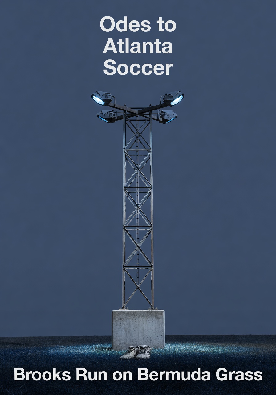 Variant 3